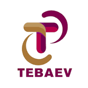 Logo TEBAEV